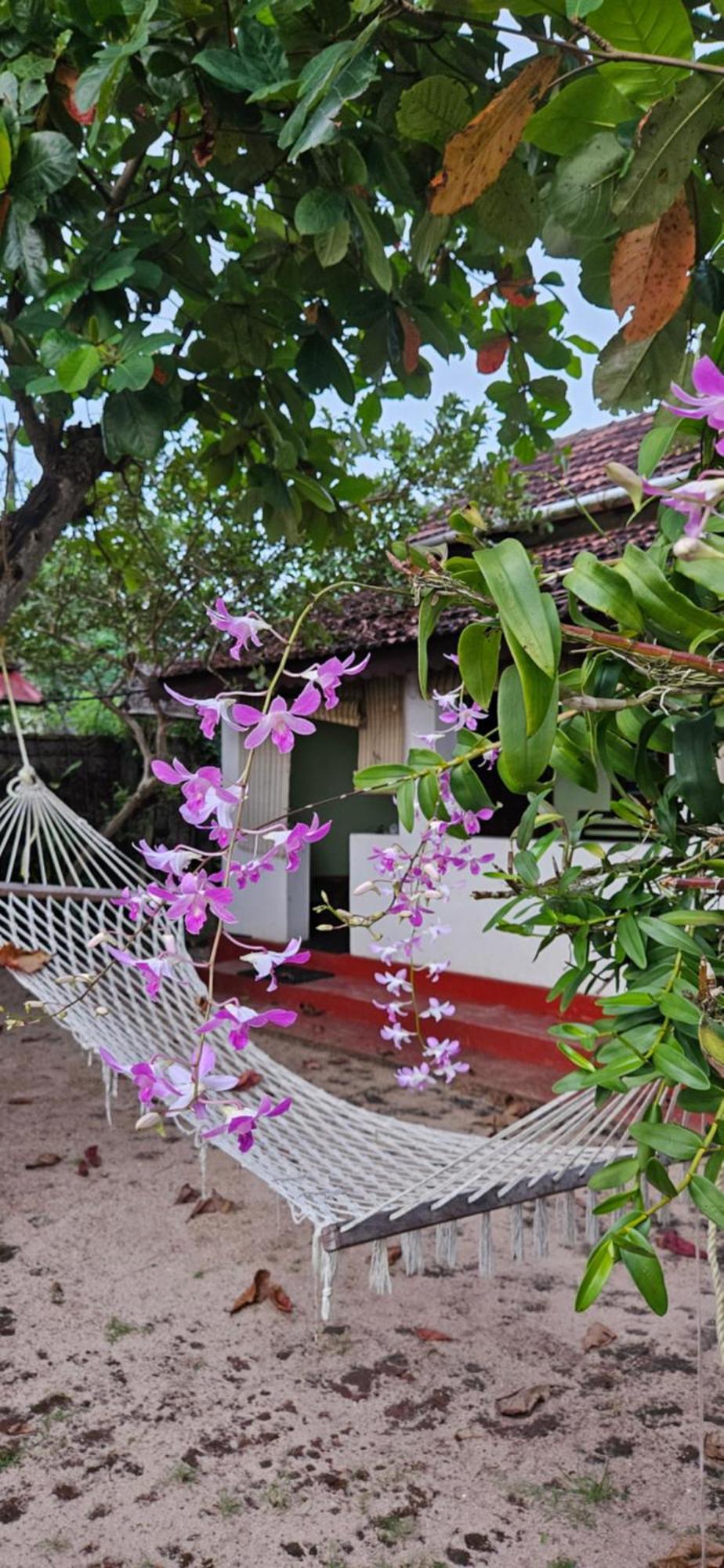Homestay Angeo House Alappuzha